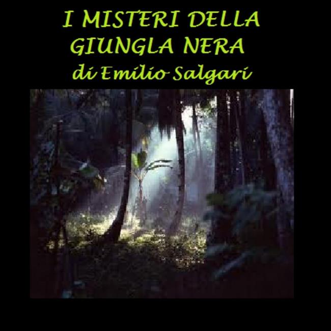 Libraccio I misteri della giungla nera (audiolibro)