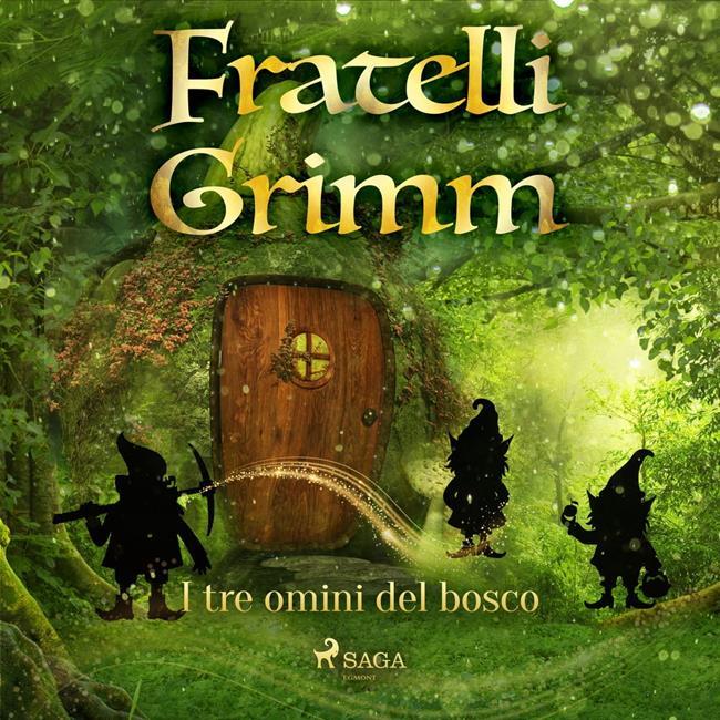 Libraccio I tre omini del bosco (audiolibro)