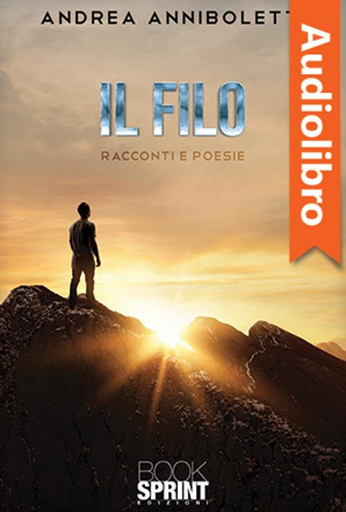 Libraccio Il filo (audiolibro)