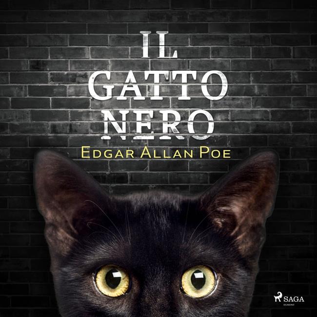 Libraccio Il gatto nero (audiolibro)
