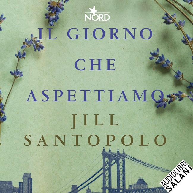 Libraccio Il giorno che aspettiamo (audiolibro)