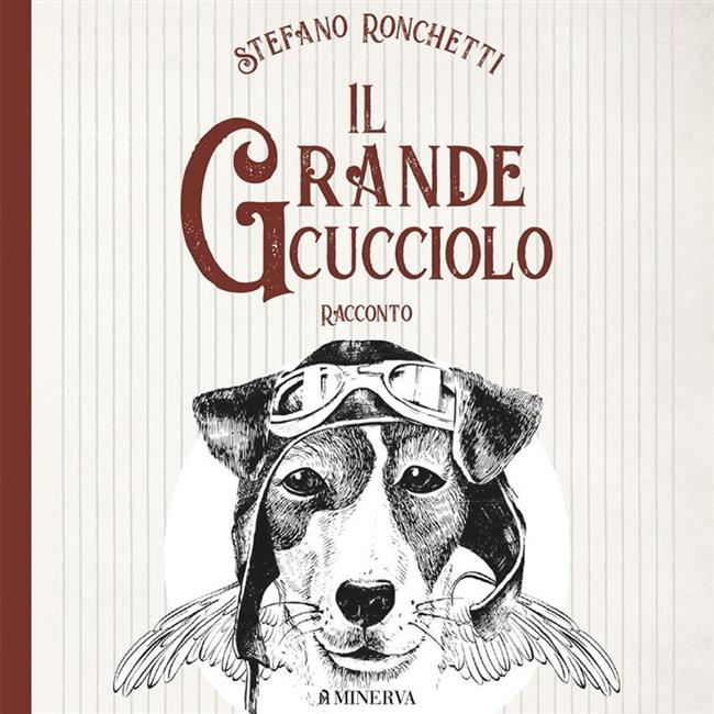 Libraccio Il grande cucciolo (audiolibro)