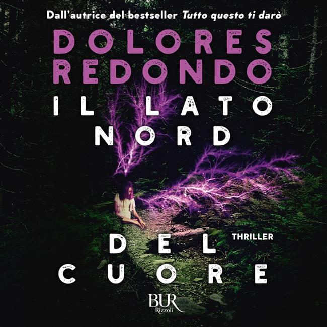 Libraccio Il lato nord del cuore (audiolibro)