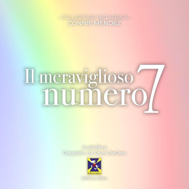 Libraccio Il meraviglioso numero 7 (audiolibro)