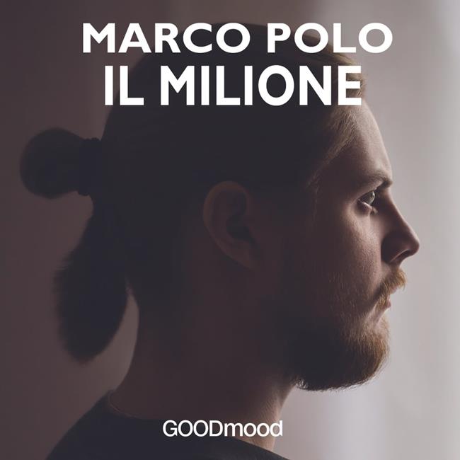 Libraccio Il Milione (audiolibro)