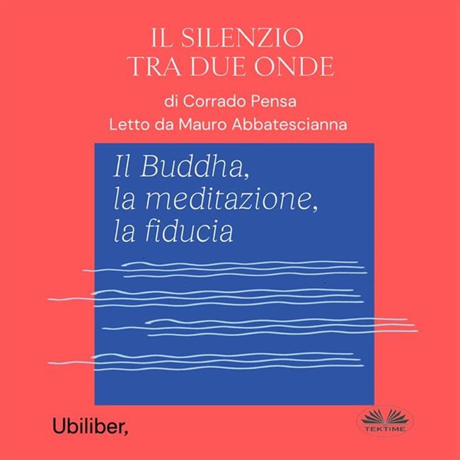 Libraccio Il Silenzio Tra Due Onde (audiolibro)
