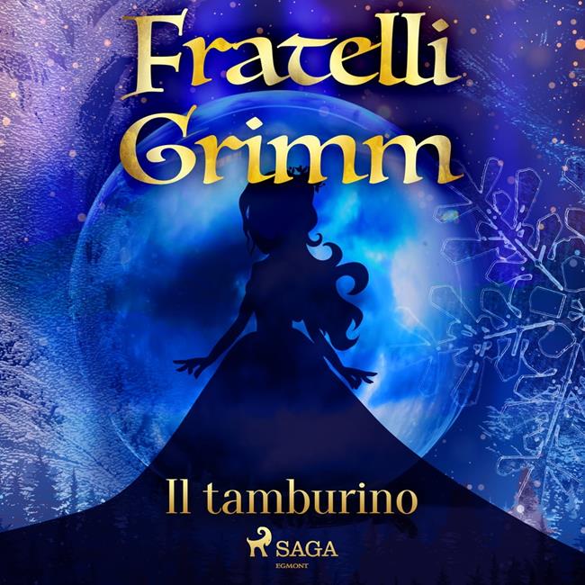 Libraccio Il tamburino (audiolibro)
