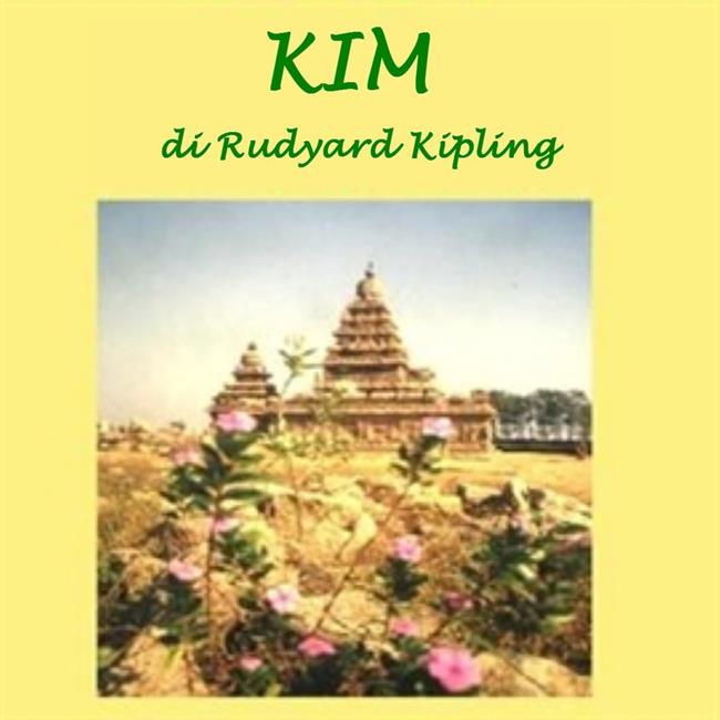 Libraccio Kim (audiolibro)