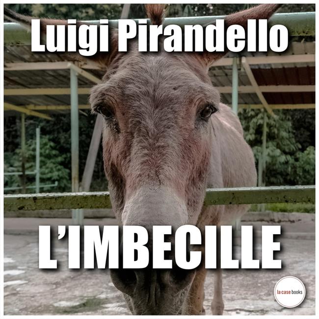 Libraccio L'imbecille (audiolibro)