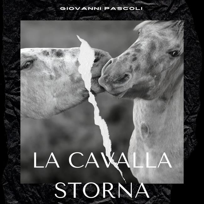 Libraccio La cavalla storna (audiolibro)