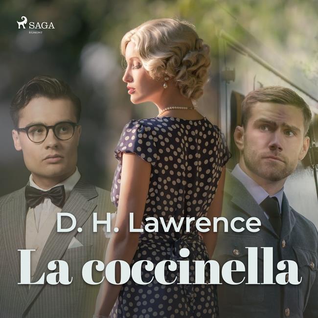 Libraccio La coccinella (audiolibro)