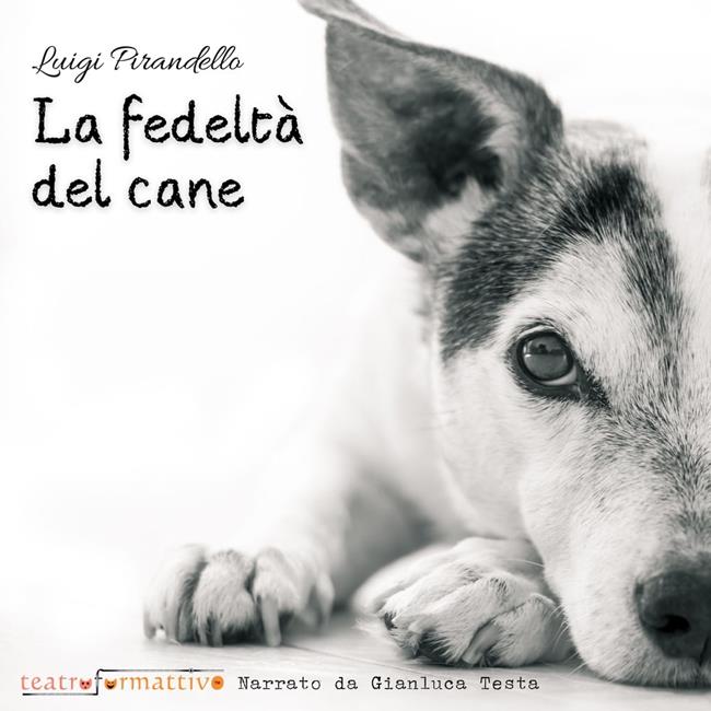 Libraccio La fedeltà del cane (audiolibro)
