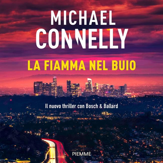 Libraccio La fiamma nel buio (audiolibro)