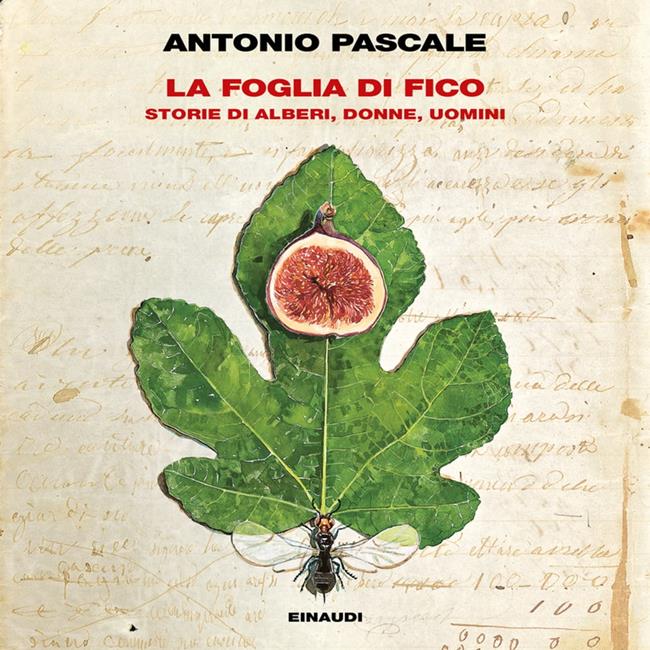 Libraccio La foglia di fico (audiolibro)