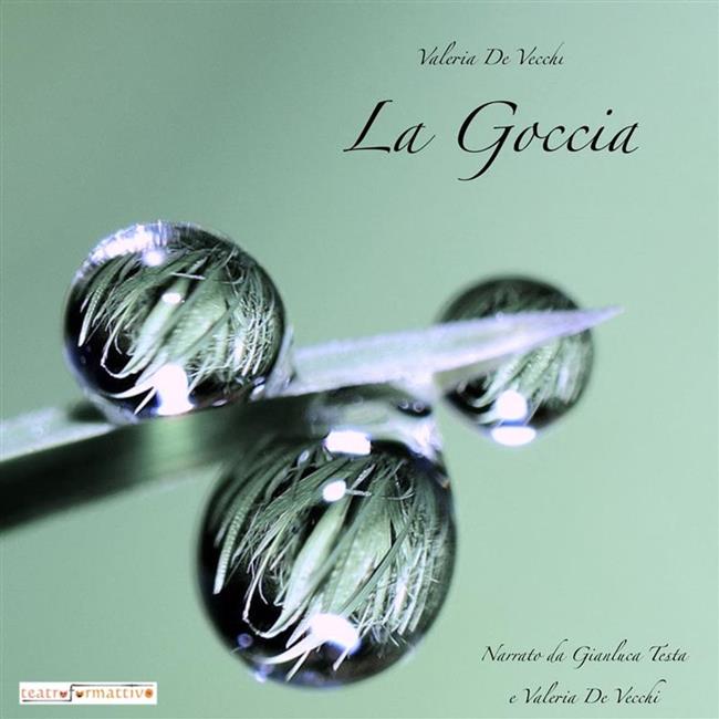Libraccio La Goccia (audiolibro)