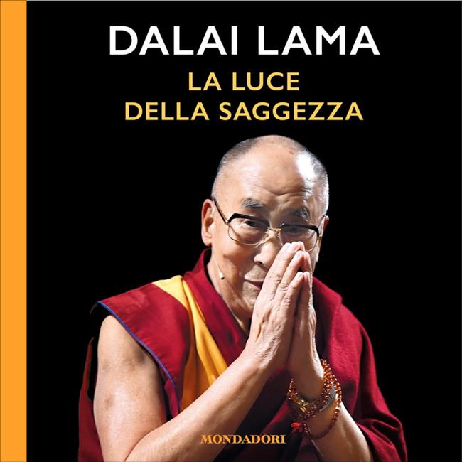 Libraccio La luce della saggezza (audiolibro)