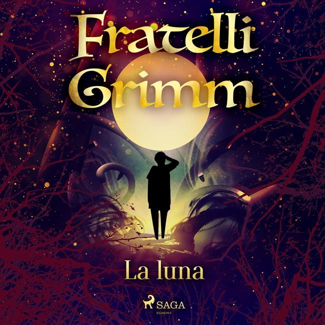 Libraccio La luna (audiolibro)