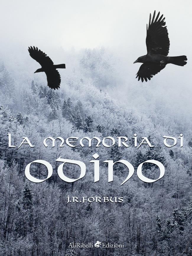 Libraccio La Memoria di Odino (audiolibro)