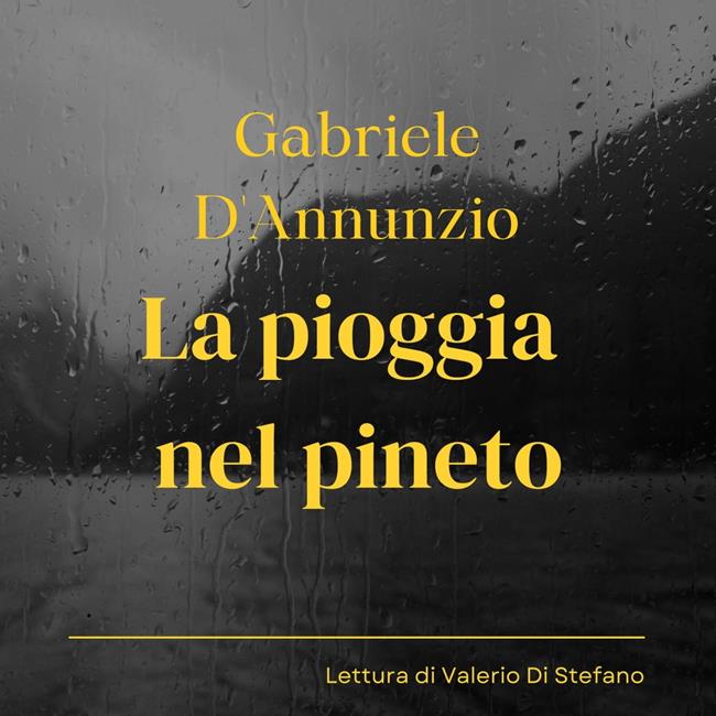 Libraccio La pioggia nel pineto (audiolibro)