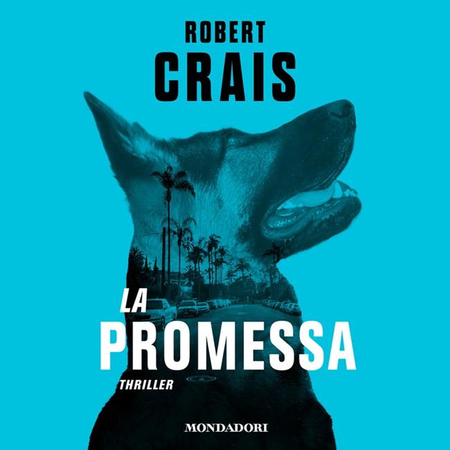 Libraccio La promessa (audiolibro)