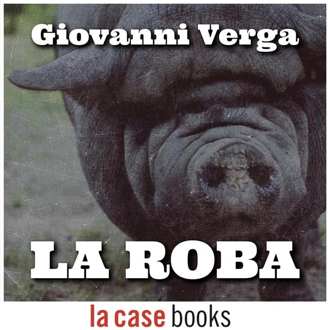Libraccio La roba (audiolibro)