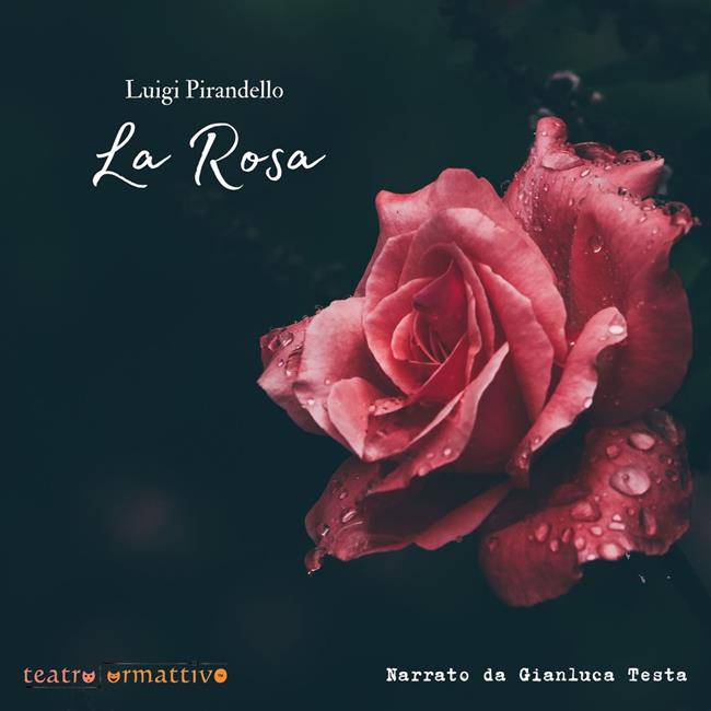 Libraccio La rosa (audiolibro)