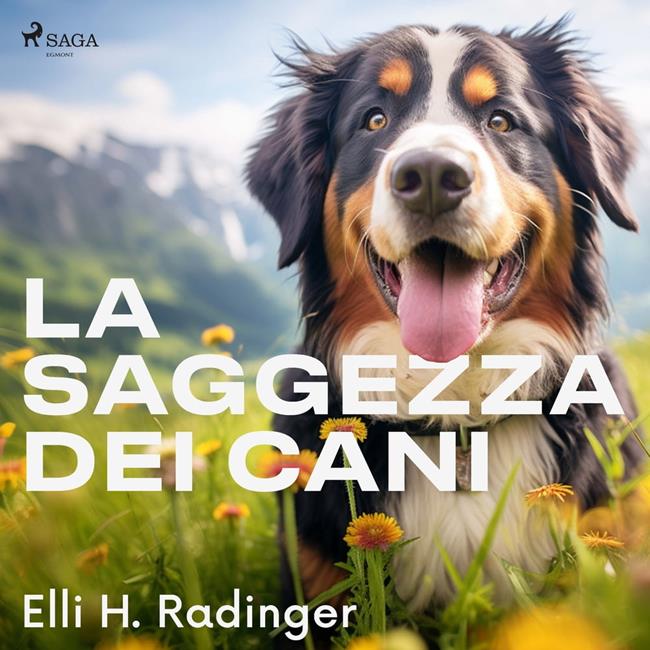 Libraccio La saggezza dei cani (audiolibro)