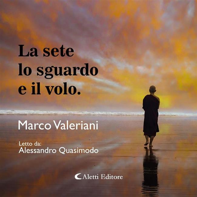 Libraccio La sete lo sguardo e il volo (audiolibro)