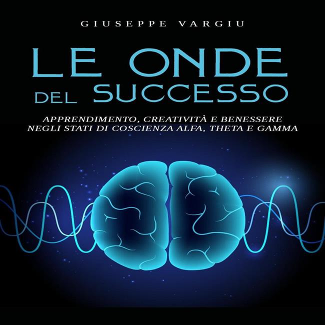 Libraccio Le onde del successo (audiolibro)