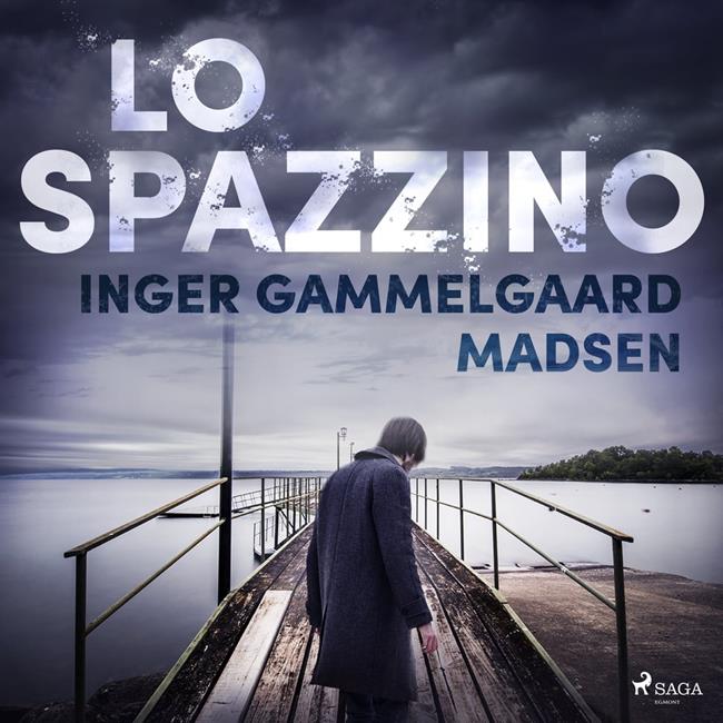 Libraccio Lo spazzino (audiolibro)