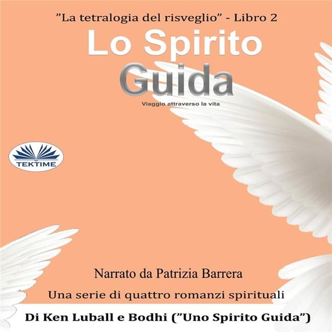 Libraccio Lo Spirito Guida (audiolibro)