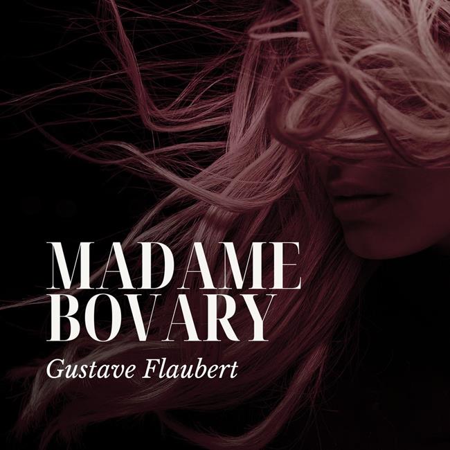 Libraccio Madame Bovary (audiolibro)