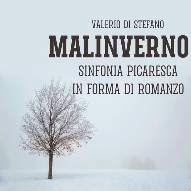 Libraccio Malinverno (audiolibro)
