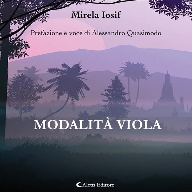Libraccio Modalità viola (audiolibro)