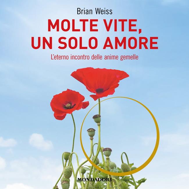 Libraccio Molte vite un solo amore (audiolibro)