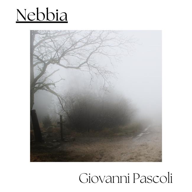 Libraccio Nebbia (audiolibro)
