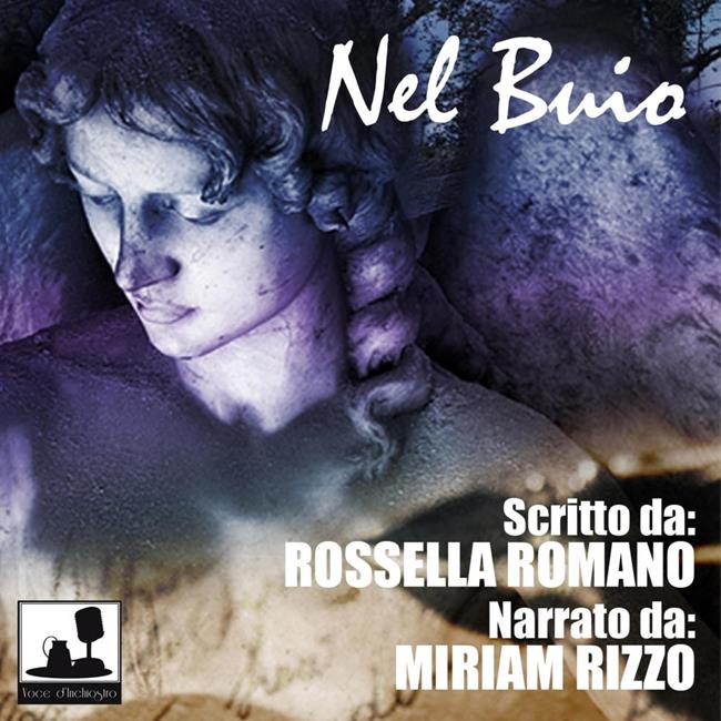 Libraccio Nel Buio (audiolibro)