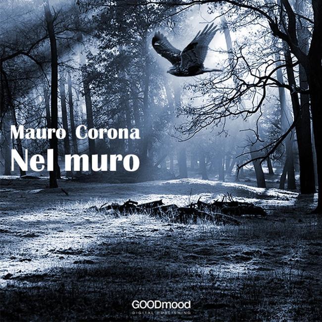 Libraccio Nel muro (audiolibro)