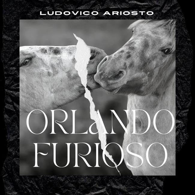 Libraccio Orlando Furioso (audiolibro)
