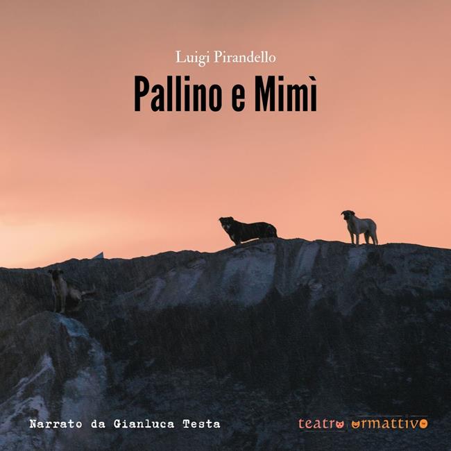 Libraccio Pallino e Mimì (audiolibro)