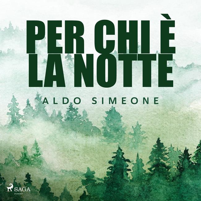 Libraccio Per chi è la notte (audiolibro)