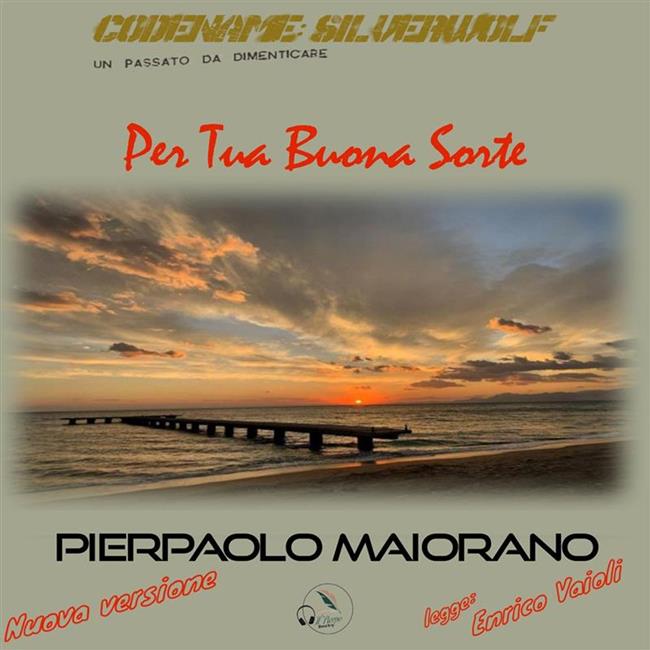 Libraccio Per Tua Buona Sorte (audiolibro)