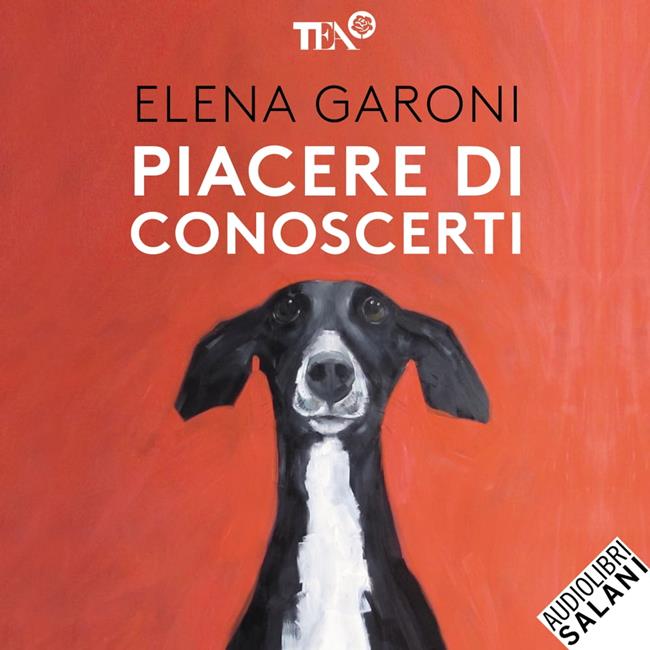 Libraccio Piacere di conoscerti (audiolibro)
