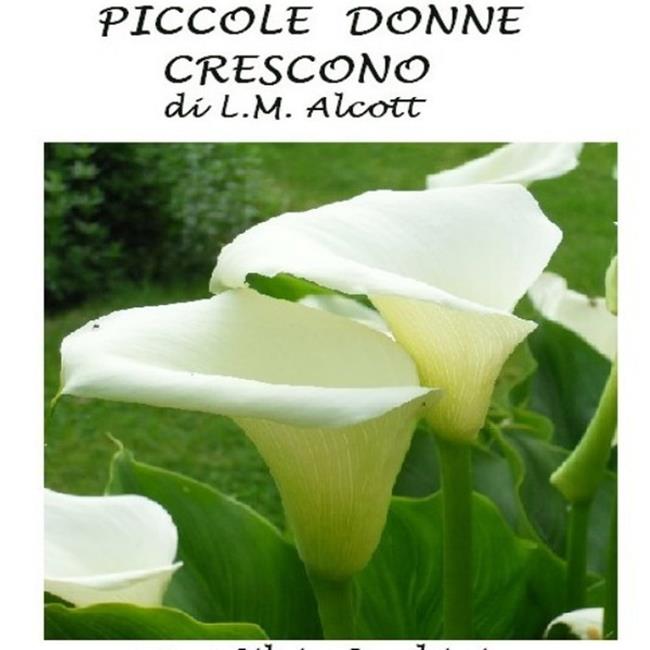 Libraccio Piccole donne crescono (audiolibro)