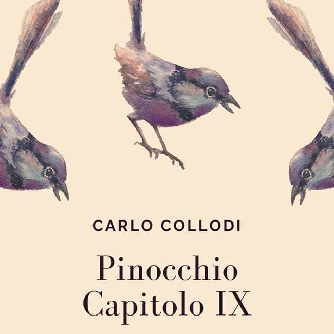 Libraccio Pinocchio - Cap. IX (audiolibro)