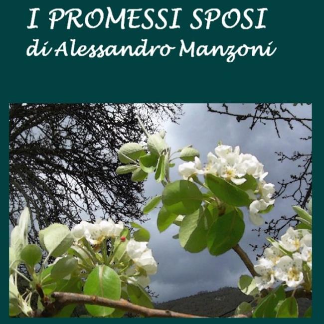 Libraccio Promessi Sposi I (audiolibro)