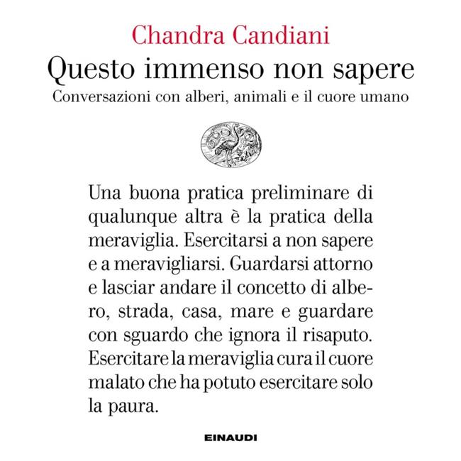 Libraccio Questo immenso non sapere (audiolibro)