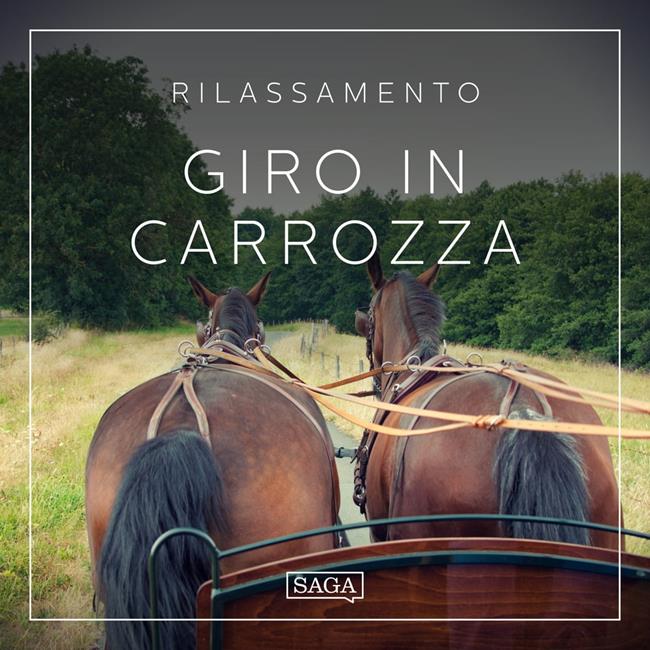 Libraccio Rilassamento - Giro in carrozza (audiolibro)