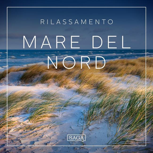 Libraccio Rilassamento - Mare del Nord (audiolibro)