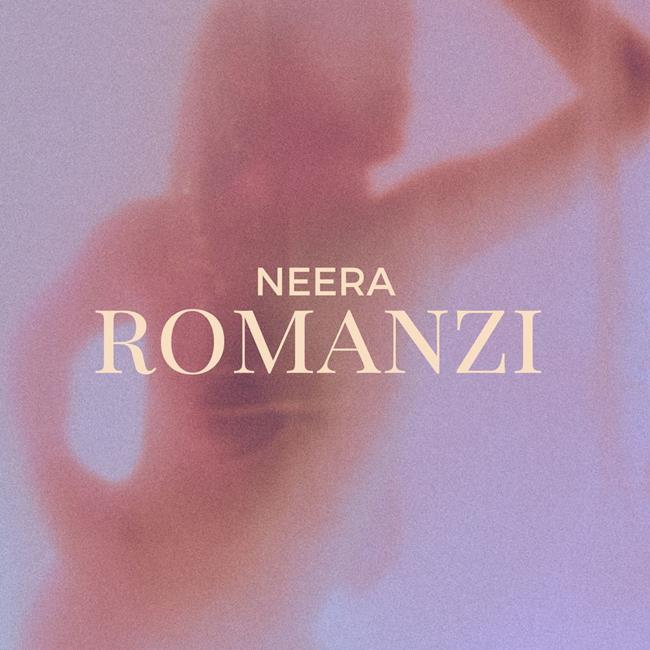 Libraccio Romanzi (audiolibro)